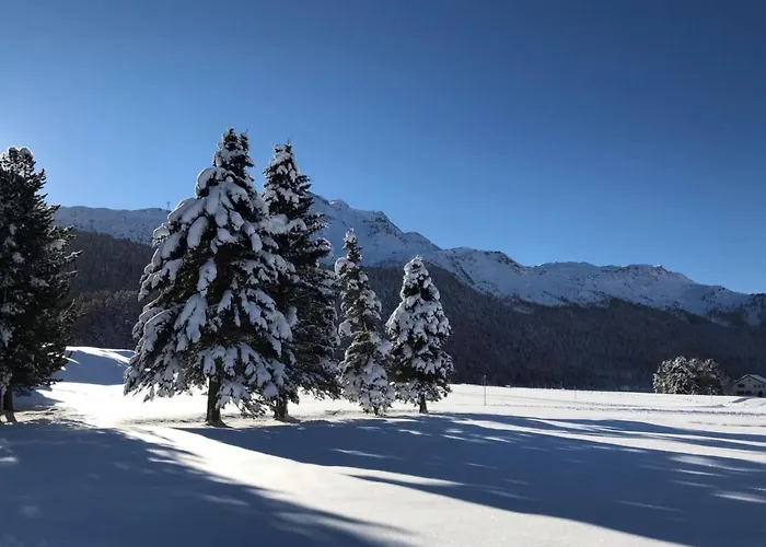 Arnica 4 By Interhome *